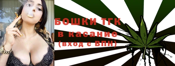 твердый Бородино
