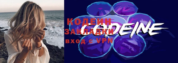 твердый Бородино