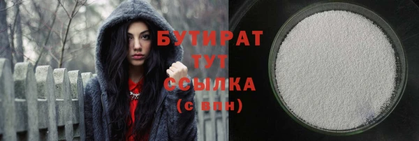 твердый Бородино