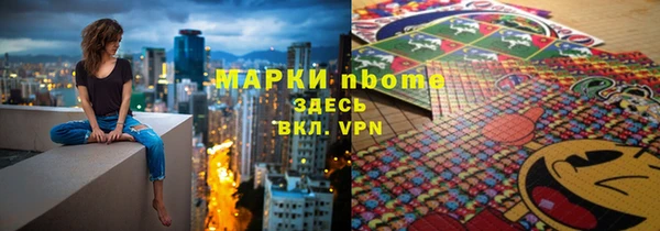 твердый Бородино