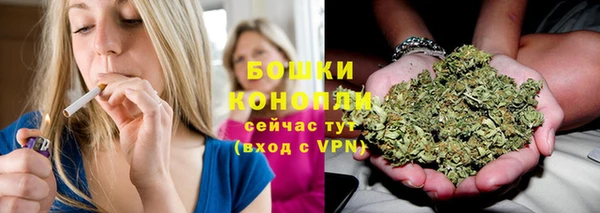 твердый Бородино