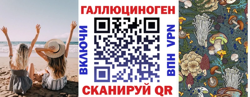 это Telegram  Тосно  Псилоцибиновые грибы Psilocybine cubensis 